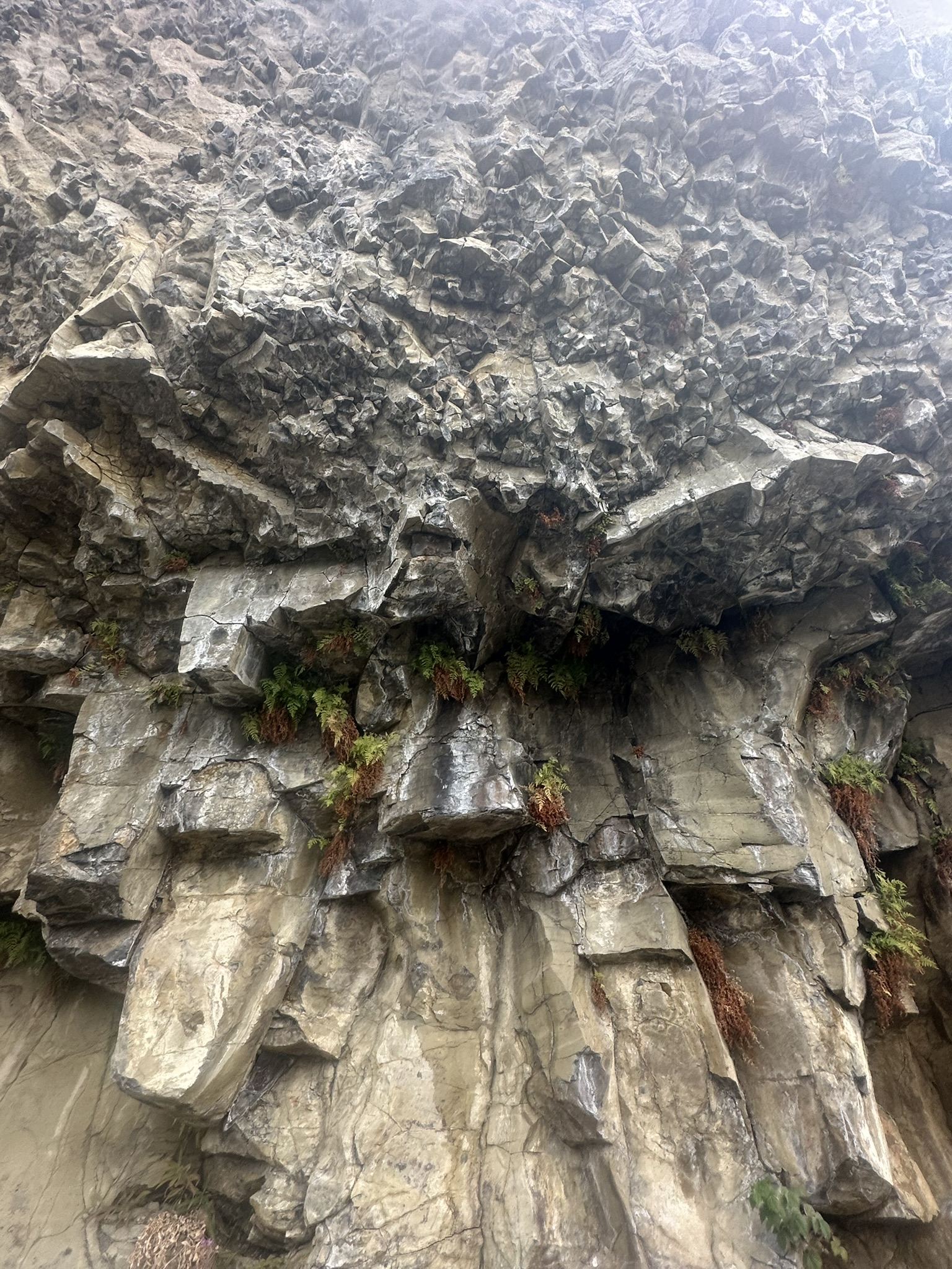 Yellowstone And Grand Teton National Parks - Image 880